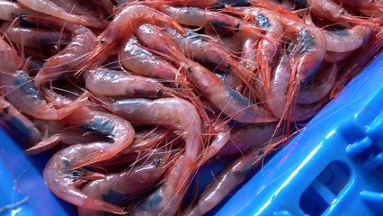 La Sobretaula a Vilanova i la Geltrú amb Gessamí Caramés, Mari Pau Huguet i Pep Picas