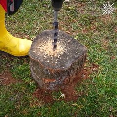 Possibly easy way to remove a tree stump!