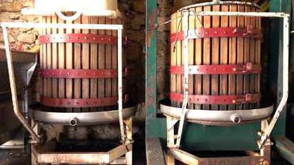 Calonge i Sant Antoni_ Terra de vinyes amb Guillem Estadella