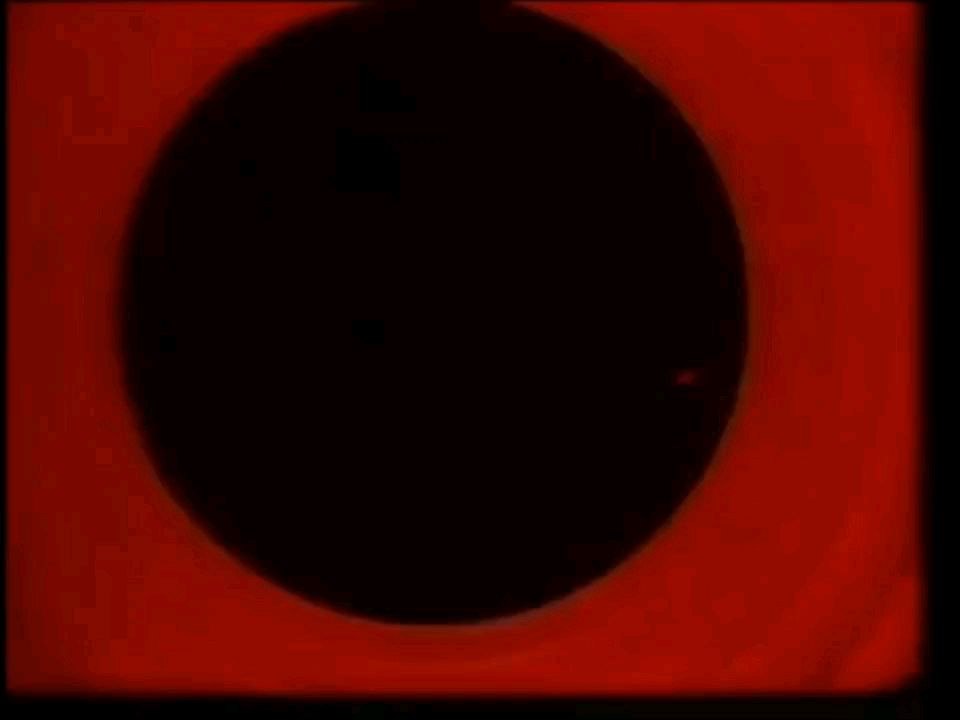 Looney Tunes notes to you (french) 1941