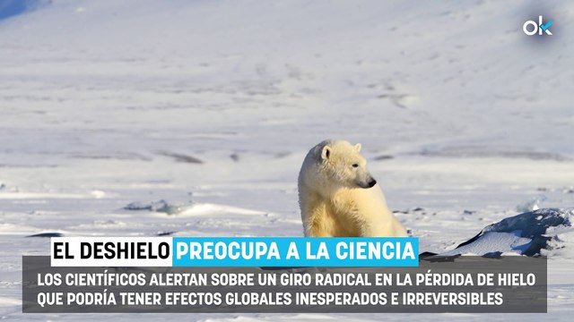 Giro radical en la Antártida: los científicos no dan crédito con lo que está pasando con el hielo