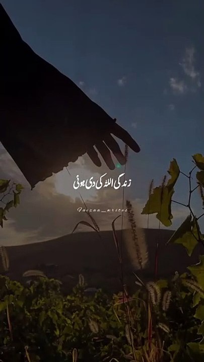 Zindagi Allah ki di hui #whatsappstatus #growupmyaccount #islamicshorts #shorts #virlshort #urdu