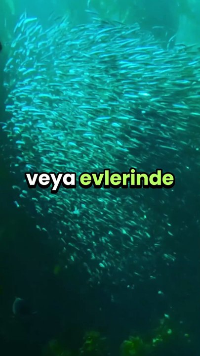 hacet duası,dua dinle,faziletli dualar,sabah