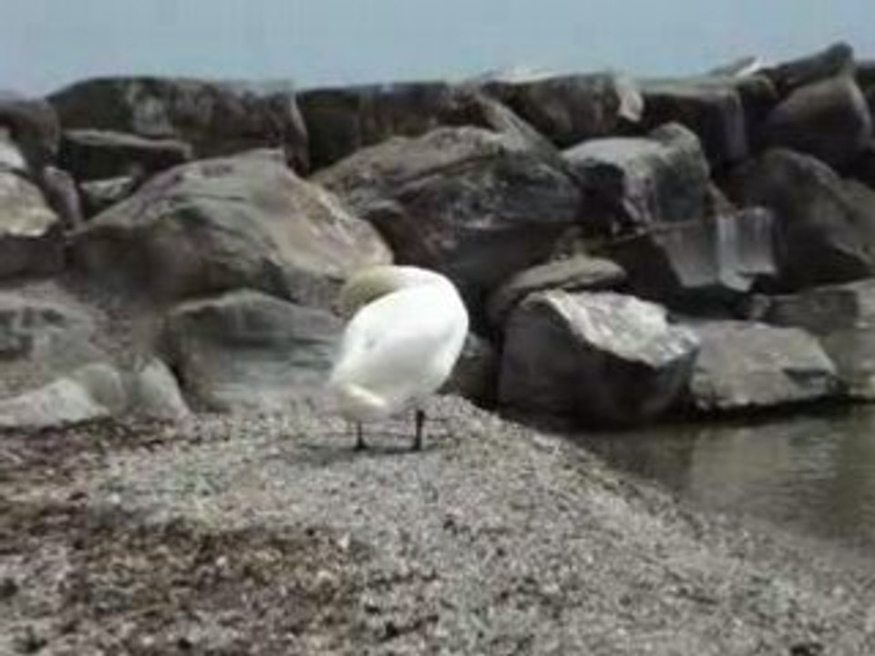 Monsieur est d'une souplesse!!!