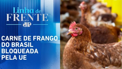 Após gripe aviária, 9 países suspendem importação de aves | LINHA DE FRENTE