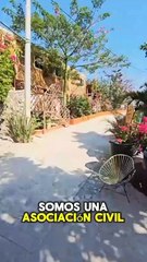 Perritos felices de Guerrero!