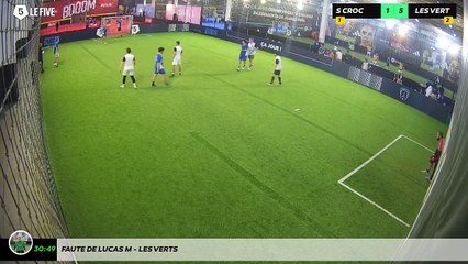 Faute de Lucas M - Les Verts