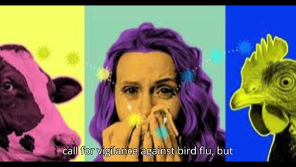 The US hasn't seen a human bird flu case in 3 months. Experts are wondering why