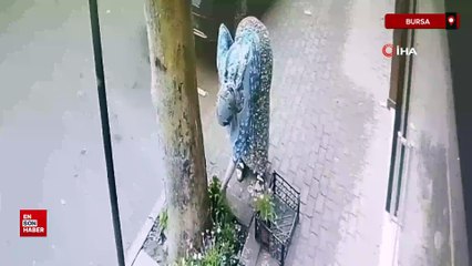 Bursa'da dükkanın önüne koyulan çiçekler çalındı
