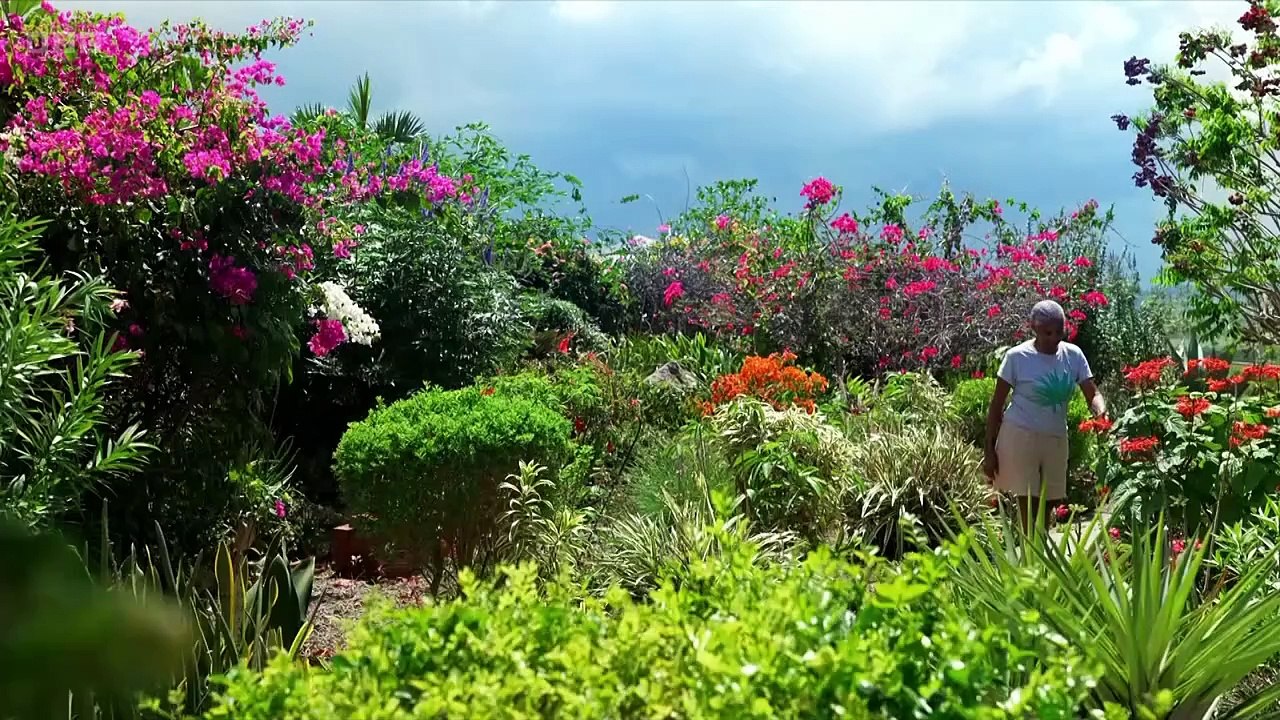 RHS Chelsea Flower Show 2025 episode 2