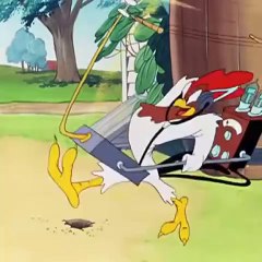 Part 9 Animation #beepbeep #funnycartoons #cartoons #cartoonsforkids #kids #children