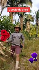 OLHA QUE ENGRAÇADO KKKK