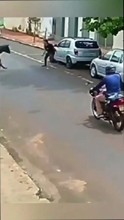 "Animals Take Over: You Won't Believe What Happens Next 🤣🐾"