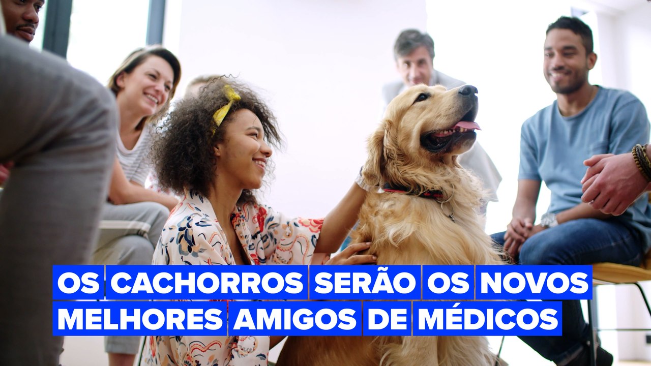 Terapia com cachorros