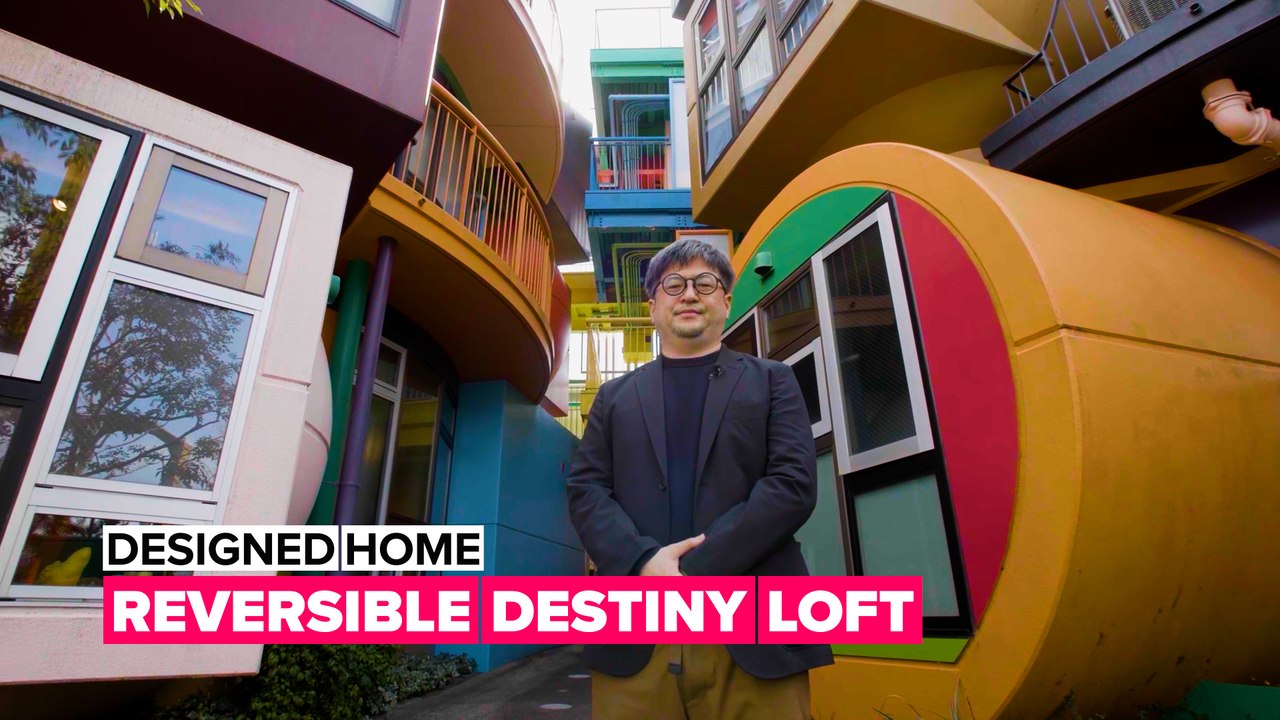 Living in a dream house where everything is possible