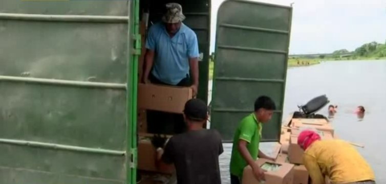 Productores se las ingenian para sacar sus productos en Bocas del Toro