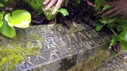 Lo que guardan las tumbas de Egipto