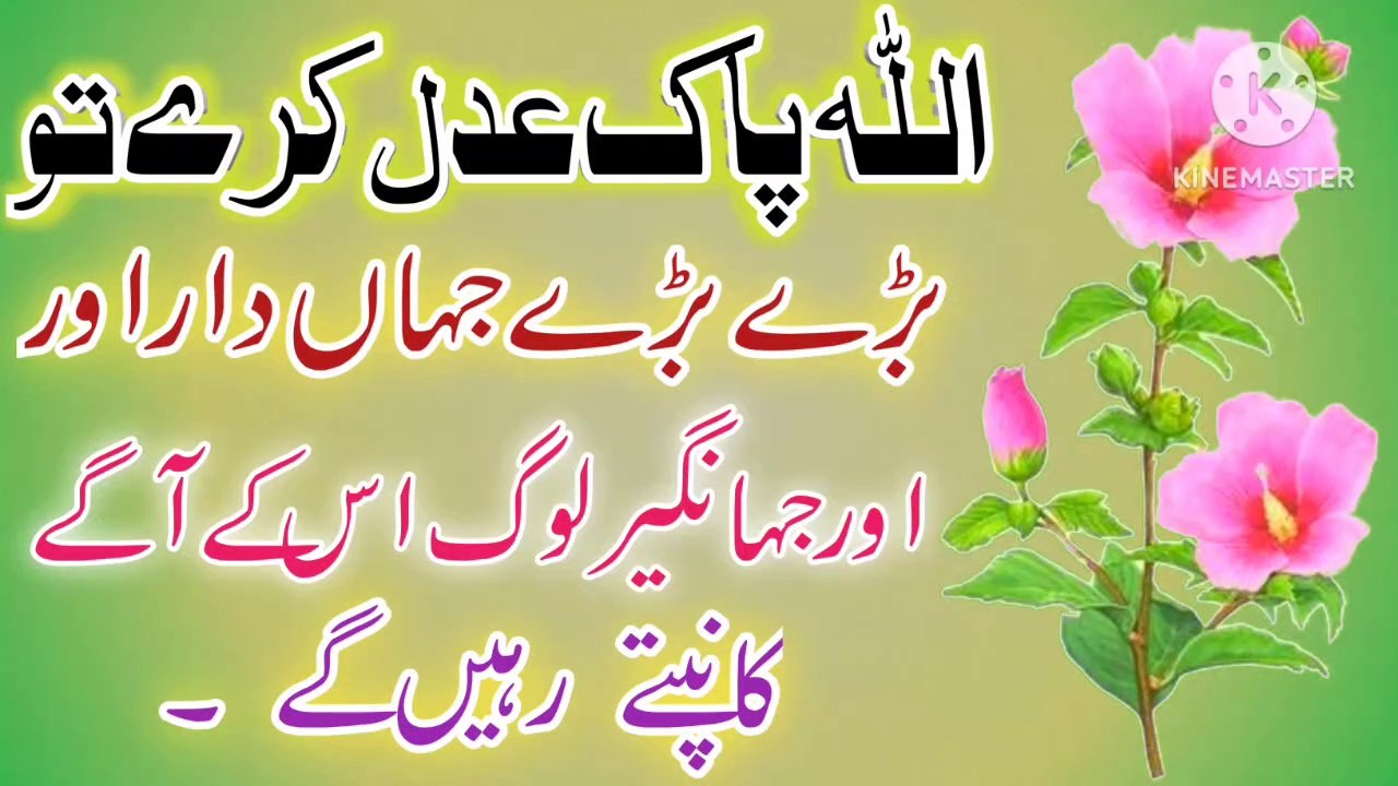 Jab Allah Pak Adal Kare Tu💯! Golden Words In Urdu💥! Best Urdu quotes🔥! ISLAMIC URDU MEWAT