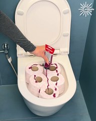 You’ll never see your toilet the same 🌟🚽