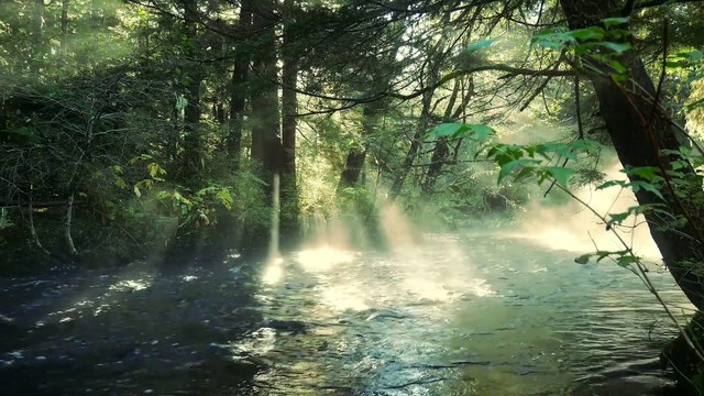 Dreamy Synths for Relaxed Mind