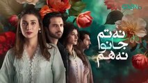 Na Tum Jano Na Hum Episode 34  _ Hassan Khan - Hina Tariq