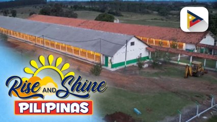 Pag-angkat ng karne ng manok sa Brazil, ipinatigil muna ng D.A. dahil sa naitalang bird flu