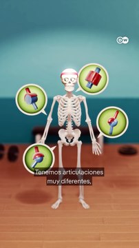 Cómo funcionan las articulaciones