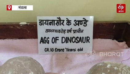 ताम्रपत्र से खुला कलचुरी काल के आखिरी शासक का नाम, मंडला के संग्रहालय में है मौजूद