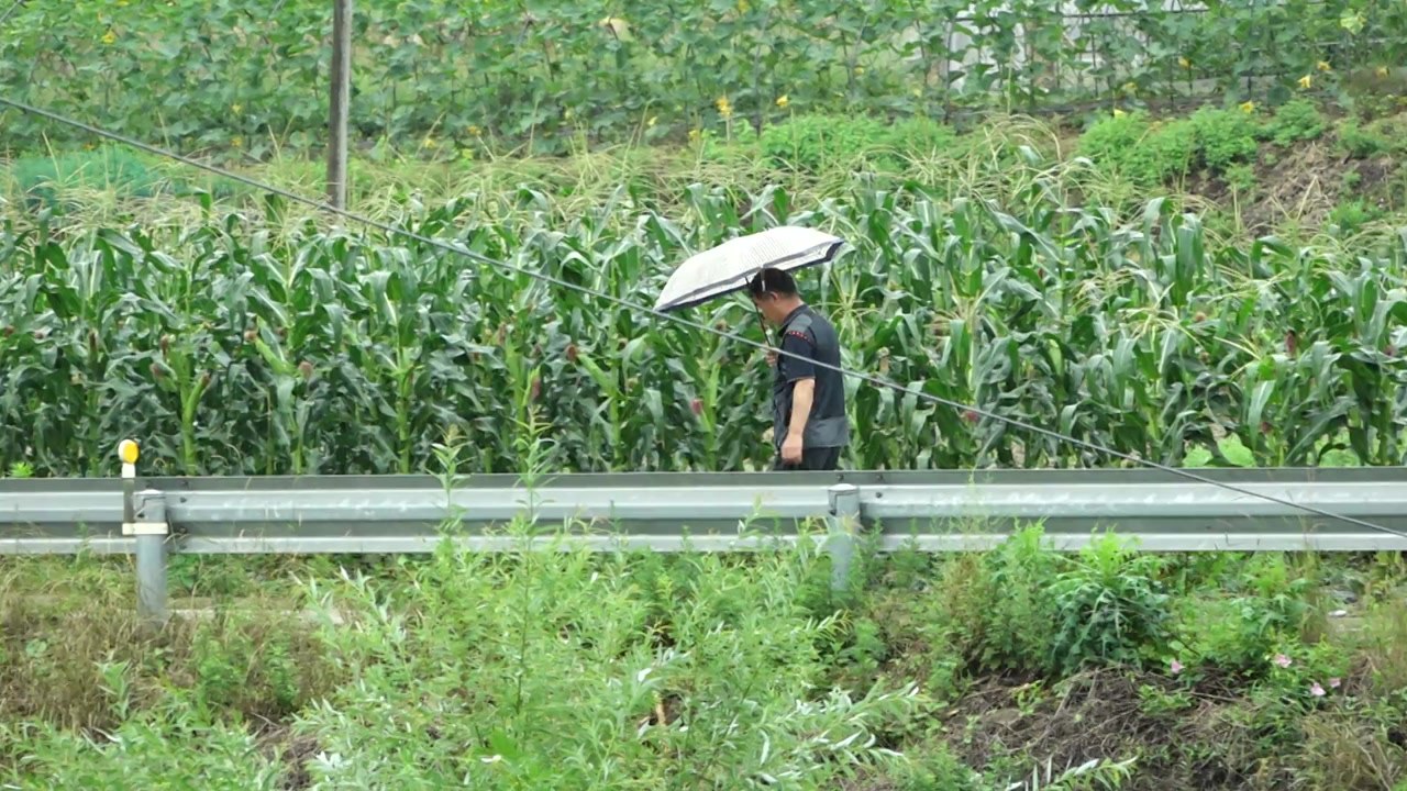 [날씨] 영덕 35℃, 내일도 여름 더위...곳곳 비 내리며 습도↑ / YTN