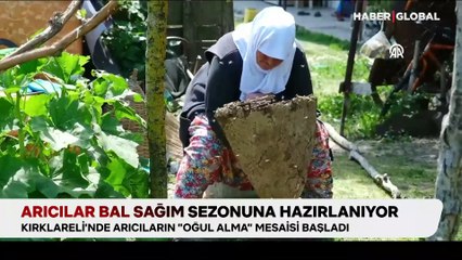 Bugün dünya arı günü, arıcılar bal sezonuna hazırlanıyor