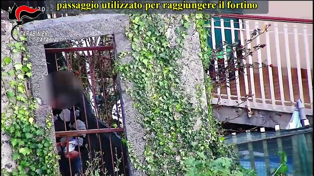 Catania - Operazione CUBISIA CONNECTION ordinanza di custodia cautelare nei confronti di 14 soggetti (20.05.25)