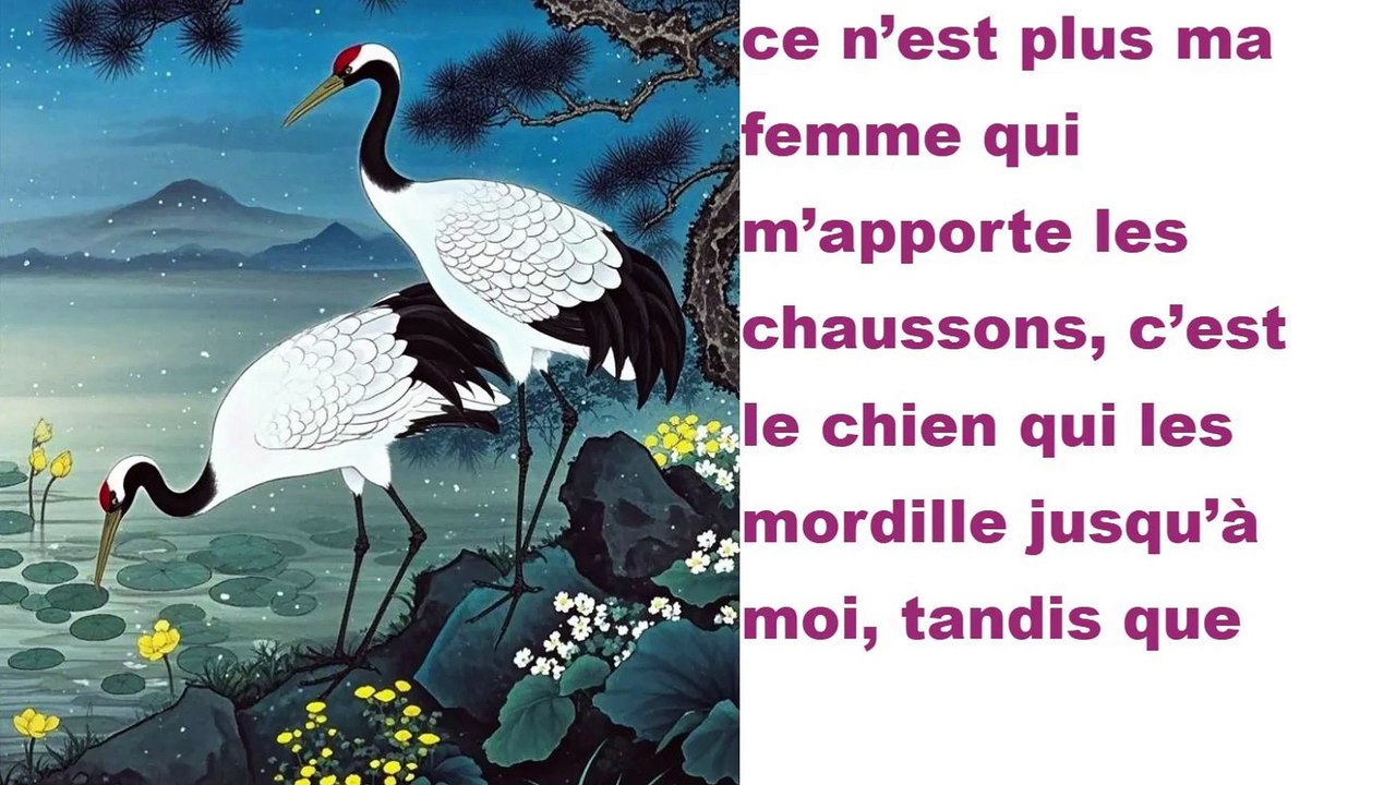Le chien qui aboie joyeusement