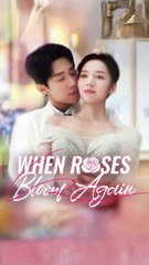 when roses bloom again chinese drama