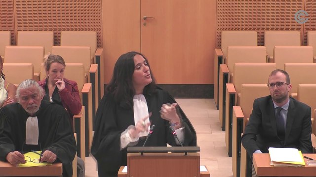 Affaire n° 2025-1141 QPC