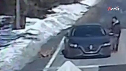 Une caméra de vidéosurveillance capture les images d'un homme qui abandonne son chat sur la route (vidéo)