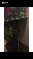 جب سب ساتھ چھوڑ جائیں تو اللہ آپ کے ساتھ ہوتا ہے | تنہائی میں اللہ کا سہارا