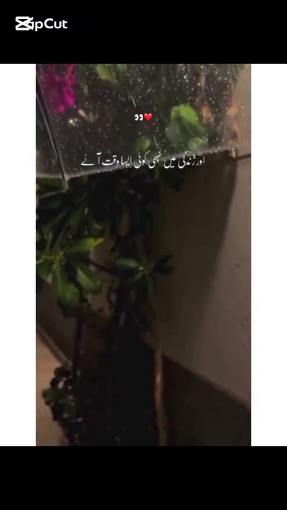 جب سب ساتھ چھوڑ جائیں تو اللہ آپ کے ساتھ ہوتا ہے | تنہائی میں اللہ کا سہارا