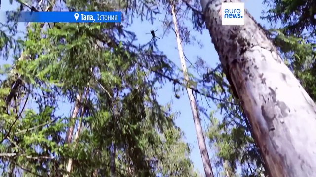 Украина поделилась военным опытом с Эстонией в ходе учений Ёж-2025