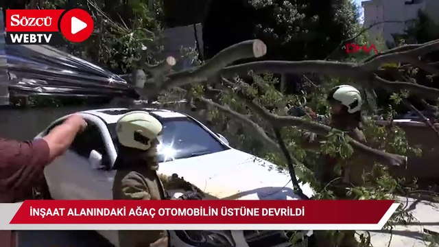 Kadıköy’de inşaat alanındaki ağaç otomobilin üstüne devrildi