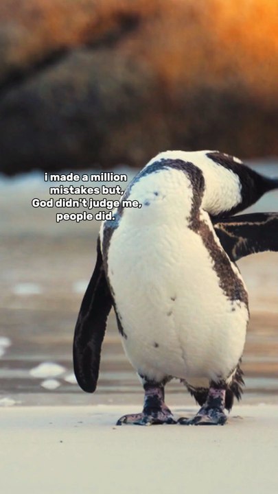 motivation