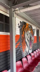 Helensburgh Tigers calls for changing room upgrades