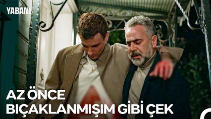 Çekilin Yoldan Bir Bela Dinlenmeye Gidiyor! - Yabani