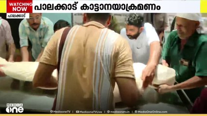 'ആന തുമ്പികൈ കൊണ്ട് എടുത്തെറിഞ്ഞു, നട്ടെല്ലിനും വാരിയെല്ലിനും ഗുരുതരമായി പരിക്കേറ്റു'