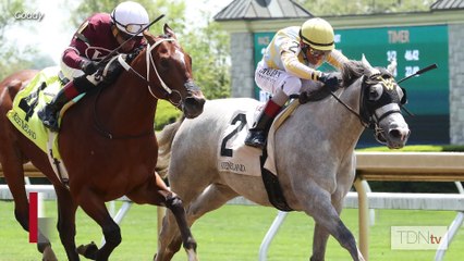 American Pharoah Has Two Colts on the Derby Trail