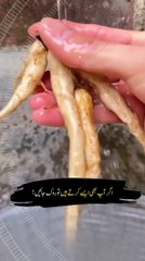 Don't Do It: The Shocking Truth You NEED to Know