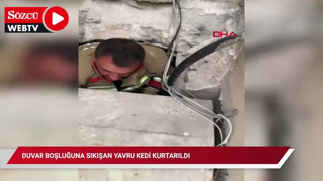 Duvar boşluğuna sıkışan yavru kedi kurtarıldı