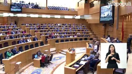 El PP se harta del desprecio continuo de Sánchez y sus ministros al Senado