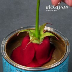 Tips to revolutionize your day-to-day activities