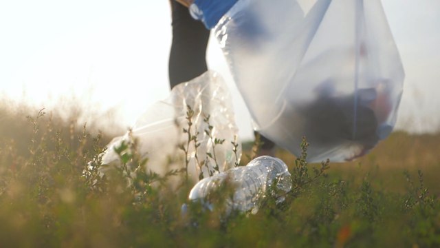 Littering in the UK: Does Britain have a litter bug?