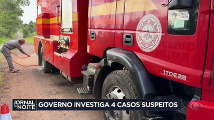 Gripe aviária: governo descarta três casos suspeitos